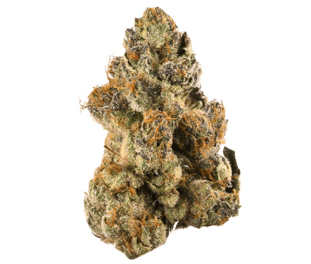 Routine Flower