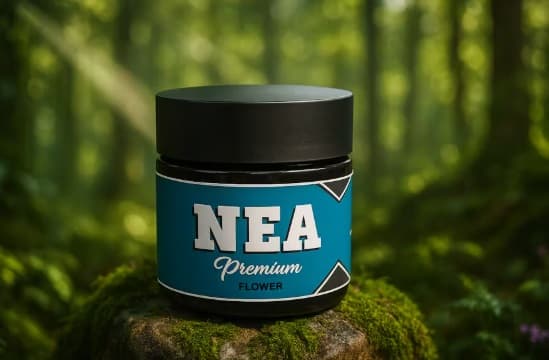 Northeast Alternatives Ground Beef | 3.5g | Northeast Alternatives