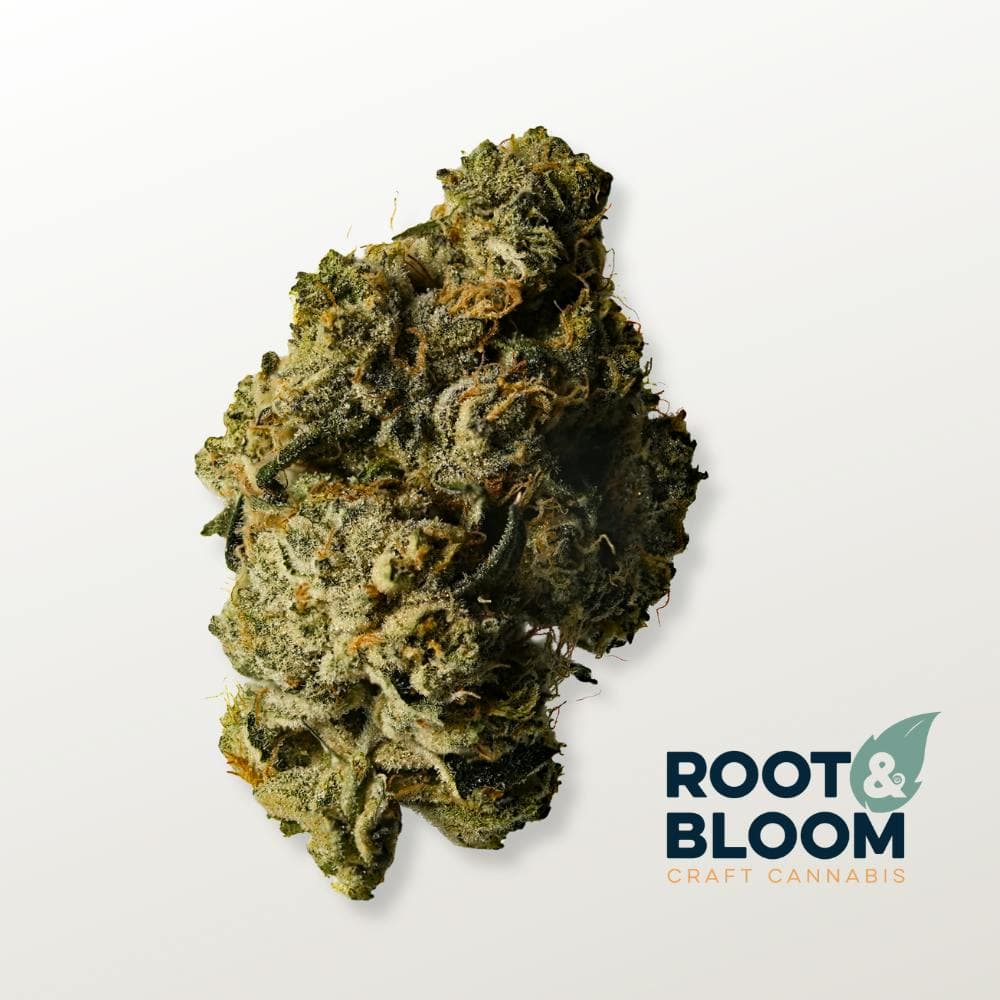 Root & Bloom