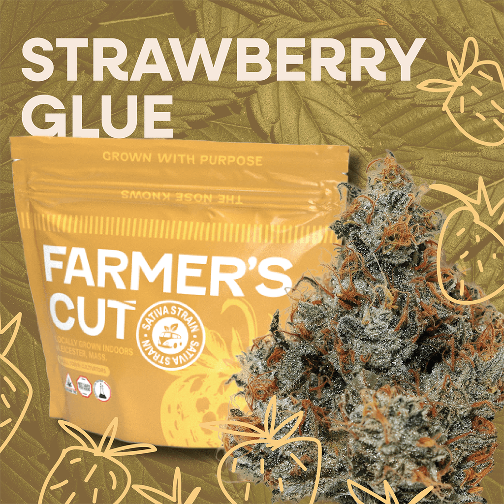 Farmer's Cut Flower