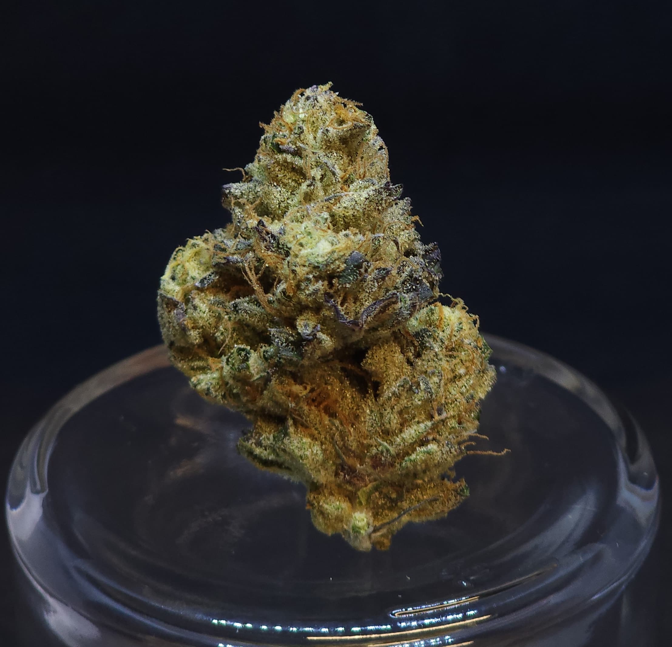 BaM AK Cake 1.5g Fat Boy