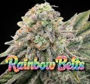 Kush Groove