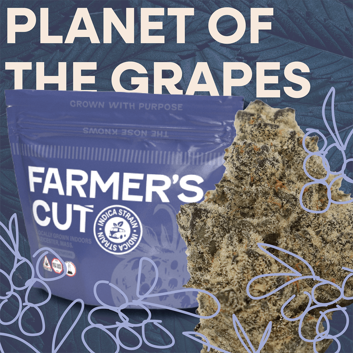 Farmer's Cut Planet of the Grapes