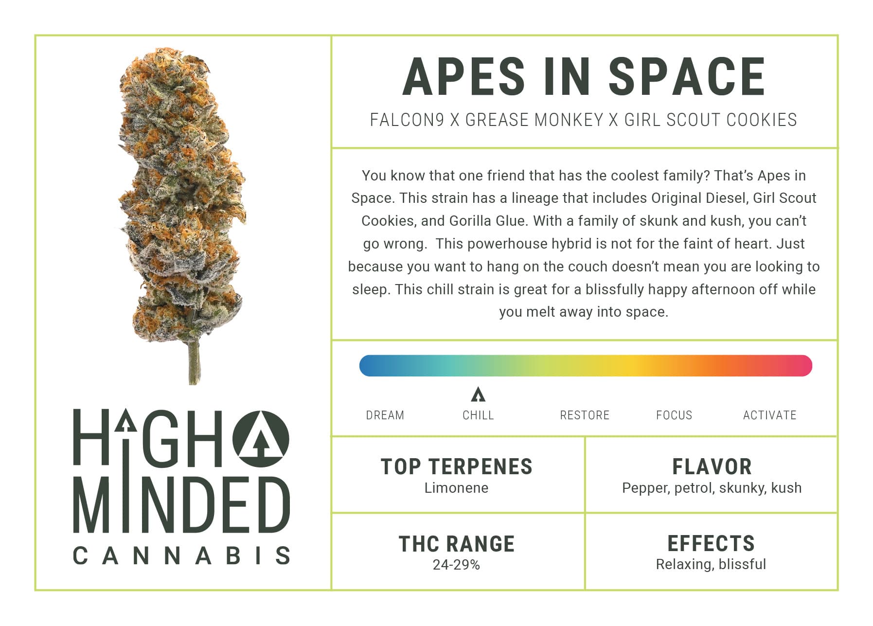High Minded Shake - Apes In Space