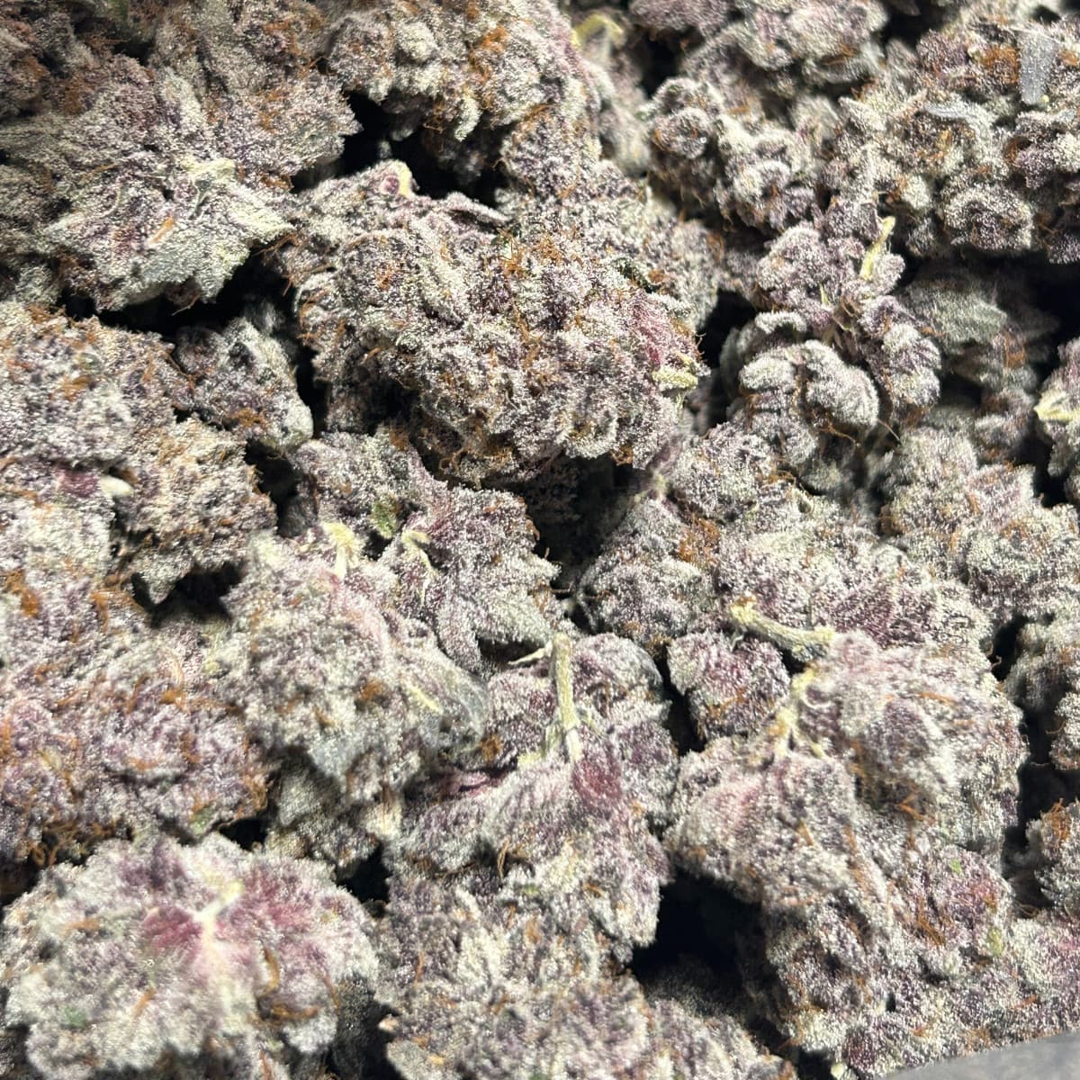Flamingo Fine Cannabis Tachibana