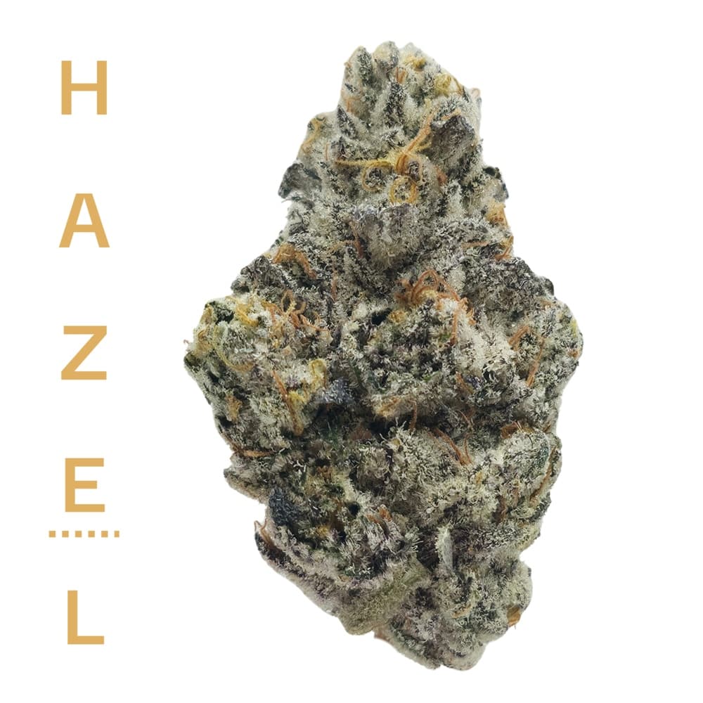 Hazel