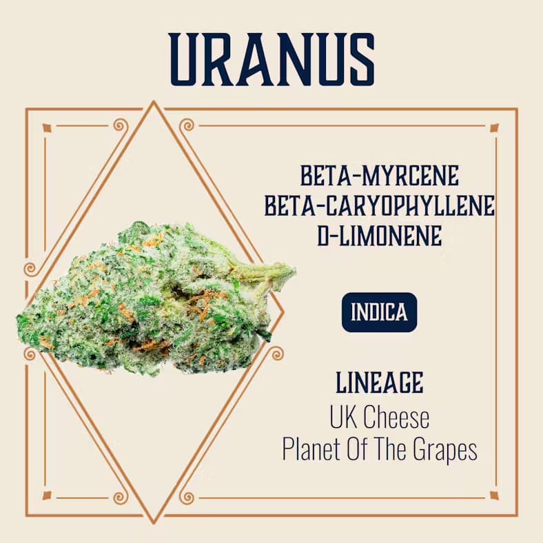 Elevate Missouri Uranus