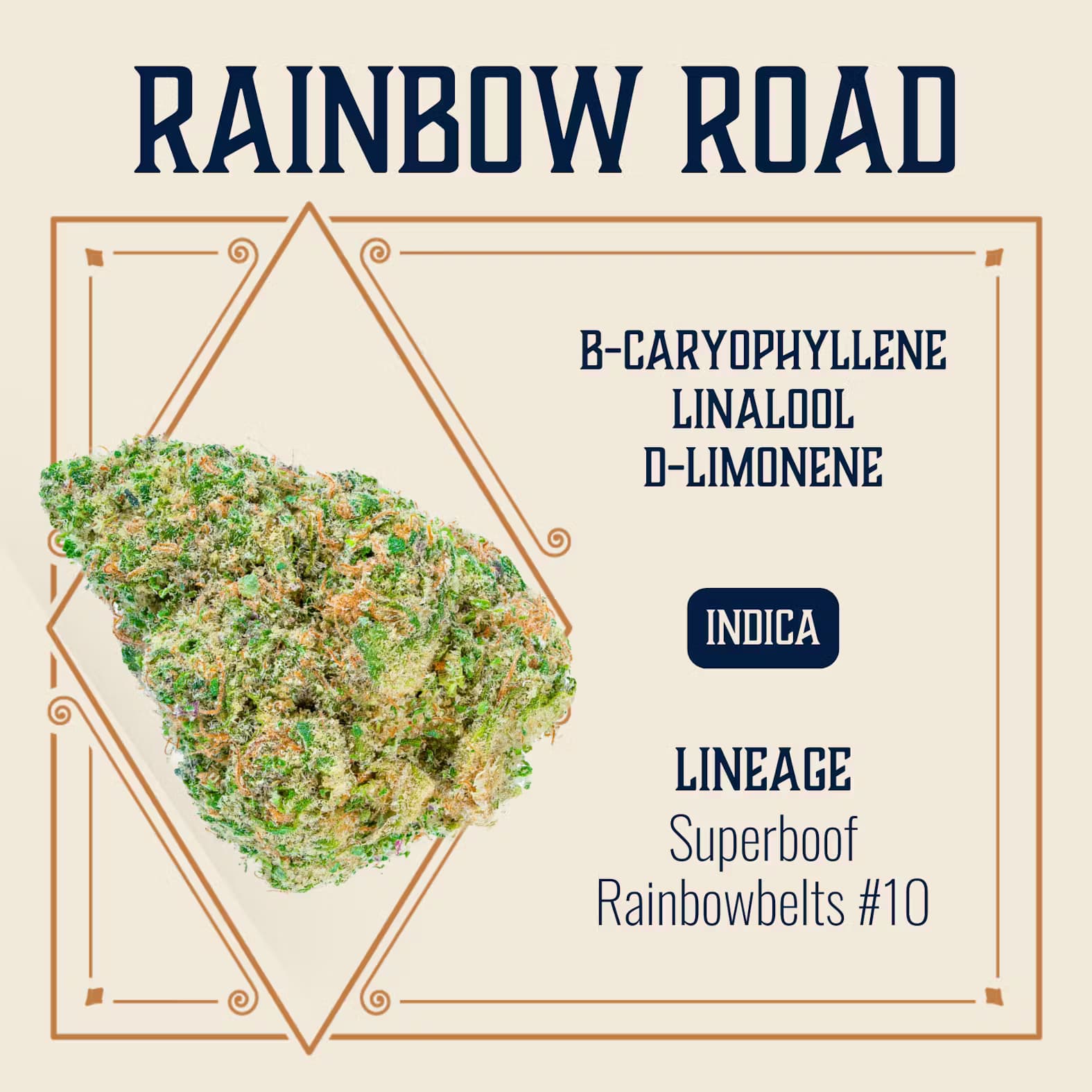 Elevate Missouri Rainbow Road