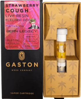 Gaston