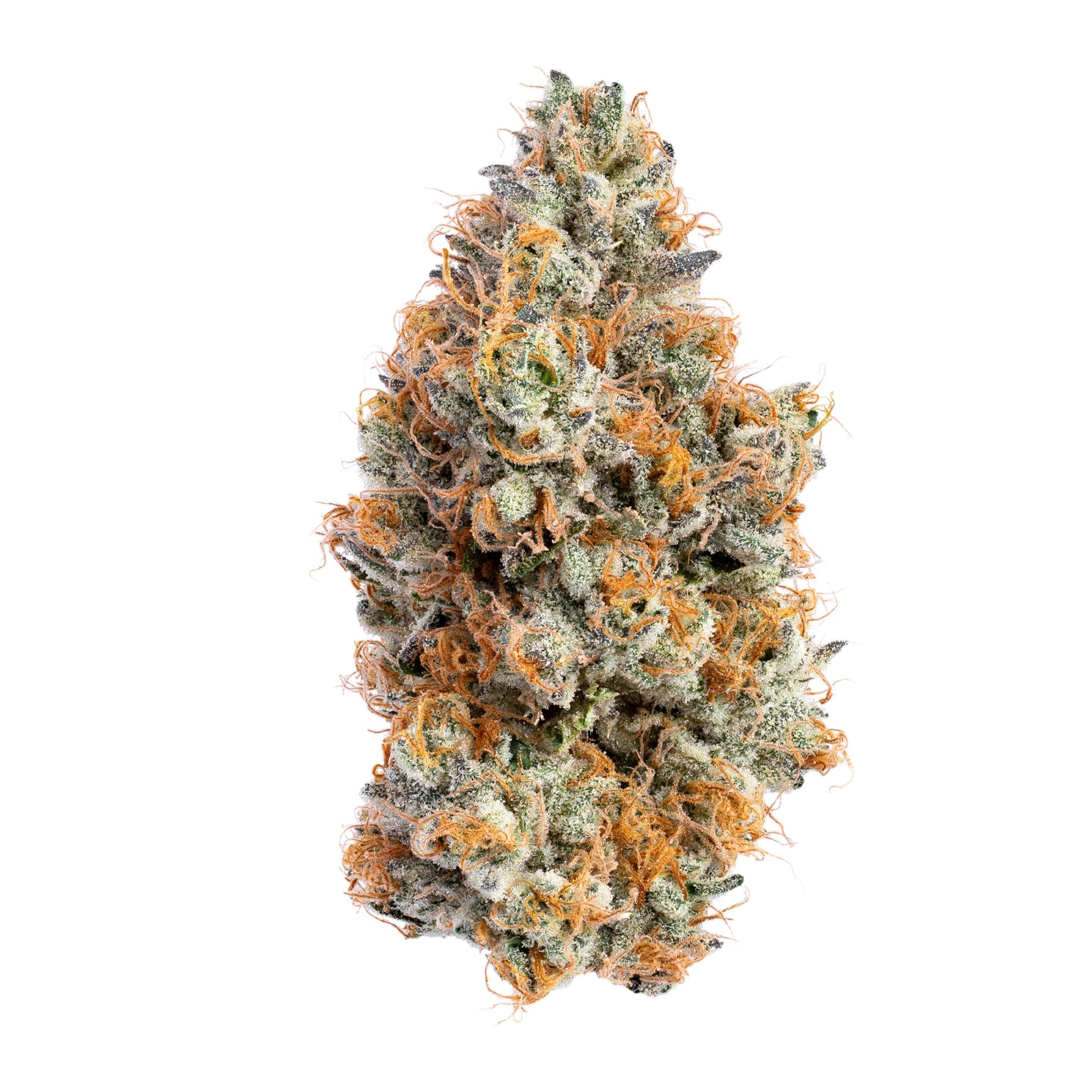 Project Packs Limewire OG Flower