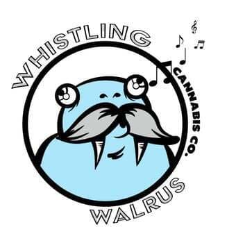 Whistling Walrus Maui Wowie