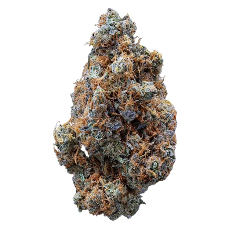 Sweetgrass Organics SWEETGRASS ORGANICS: MYSTIC MOUNTAIN 1.5:1
