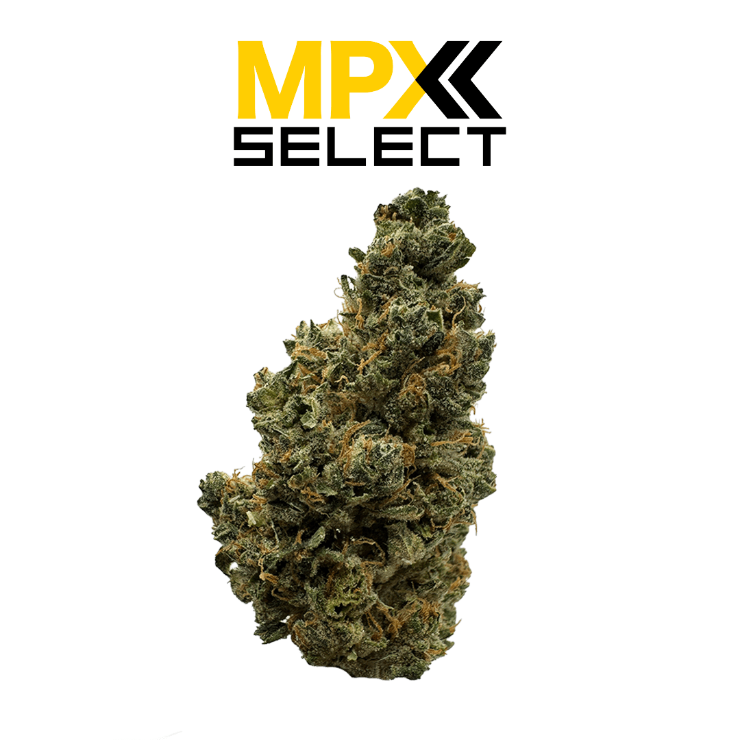 MPX Select Flower MPX Select Gassy Pines Flower