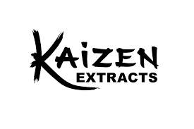 KAIZEN