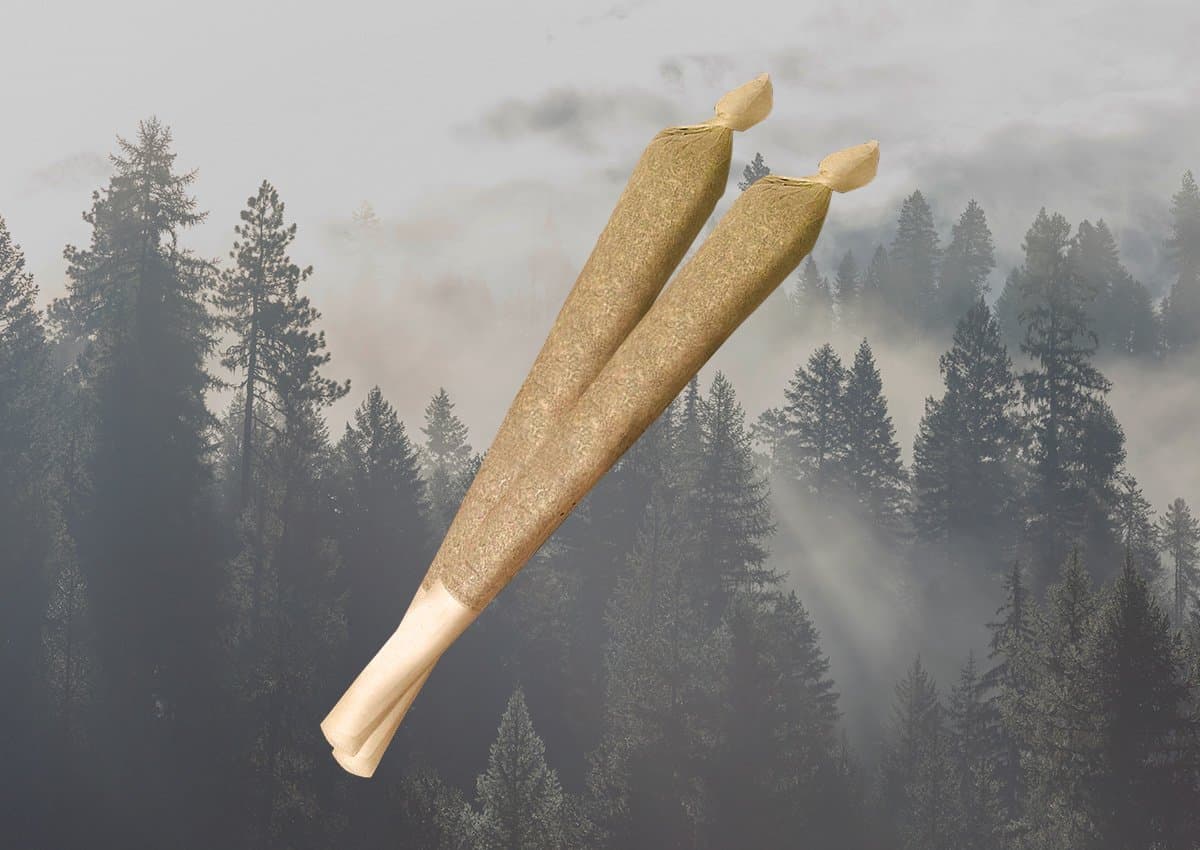 Elysium Fields BLUEBERRY BANANA MUFFIN PreRoll 2pk