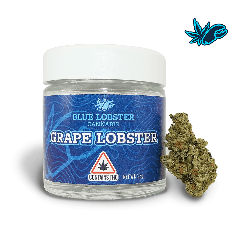 Blue Lobster