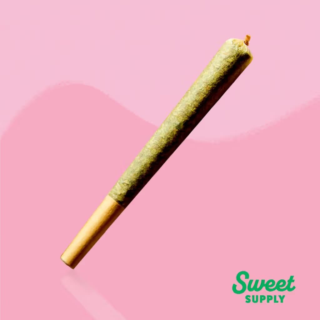 Sweet Supply Trop Teeth #8