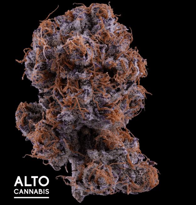 Alto Cannabis Alto-Rainbow Runtz PP