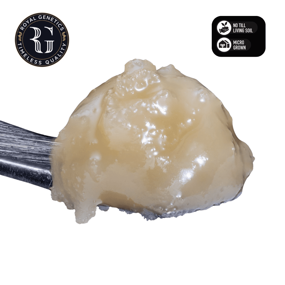 Royal Genetics Odeous Maximus | Live Rosin | Concentrate
