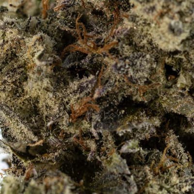 Herbal Dispatch Ultra DONKEY BUTTER