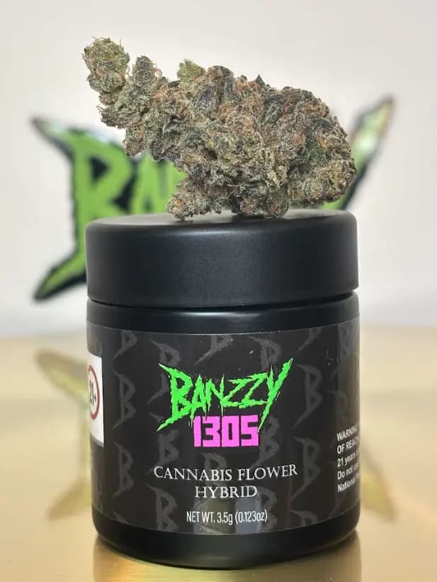 Banzzy 1305