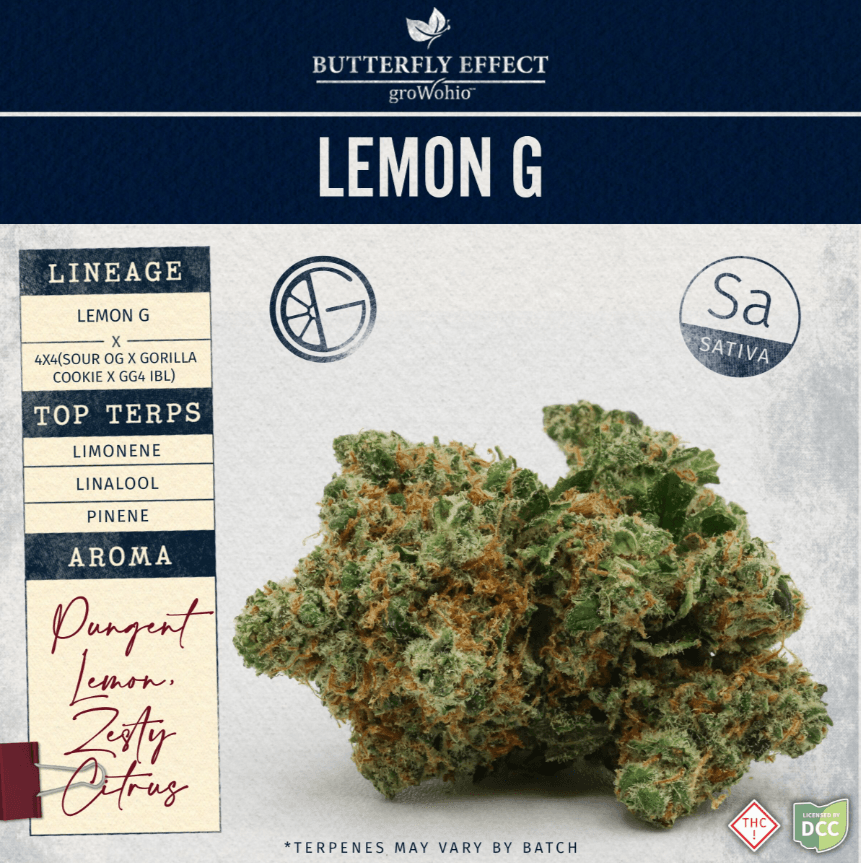 Butterfly Effect by Grow Ohio Lemon G | 14.15g