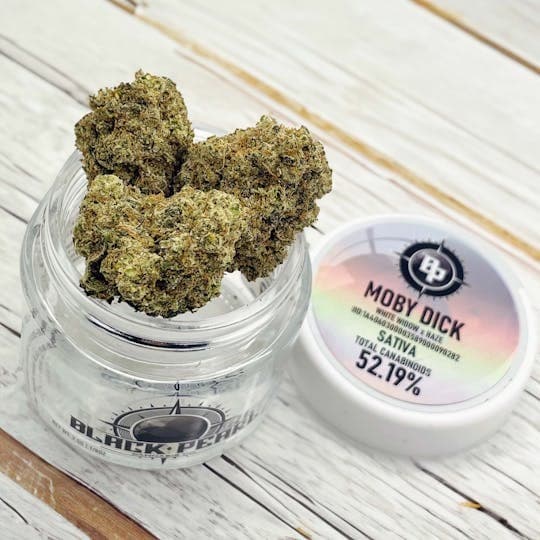 Black Pearl Black Pearl Moby Dick Sativa Infused Flower 3.5g