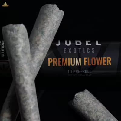 Jubel Exotics