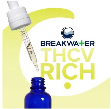 Breakwater THCV-Rich MCT Tincture (100mg) Tinctures