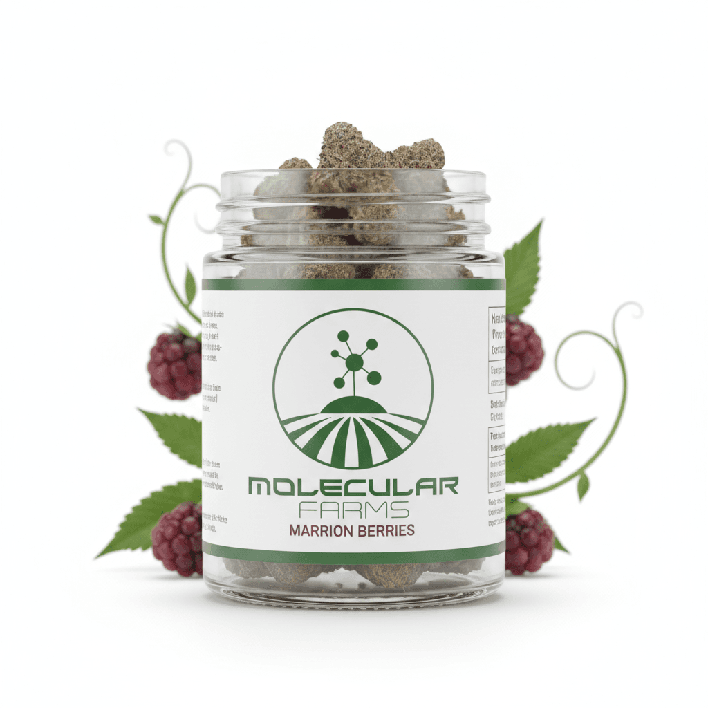 Molecular Farms