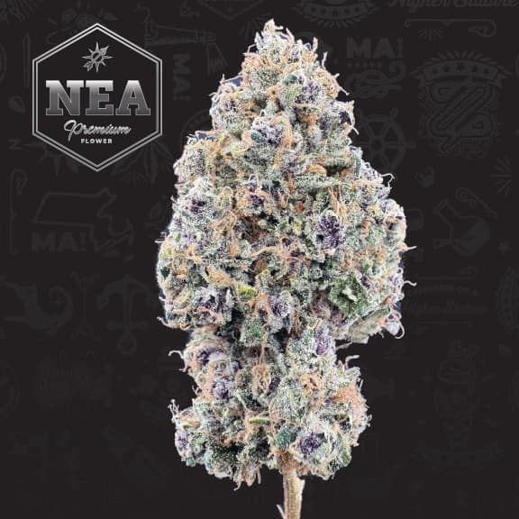 NEA Premium