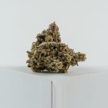 Juniper Coolio-Flower-|Sativa Dominant|JC