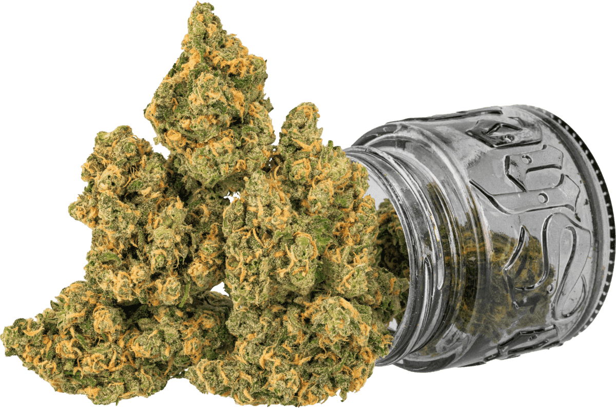 Top Shelf Cultivation