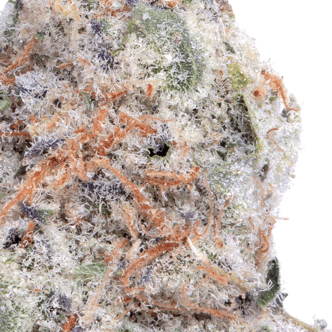 Native Sun Chocolate Pie | Flower | 3.5g