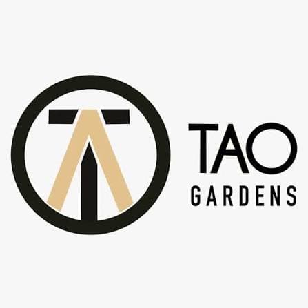 Tao Gardens Tao Gardens 1G Live Rosin: Breadstix