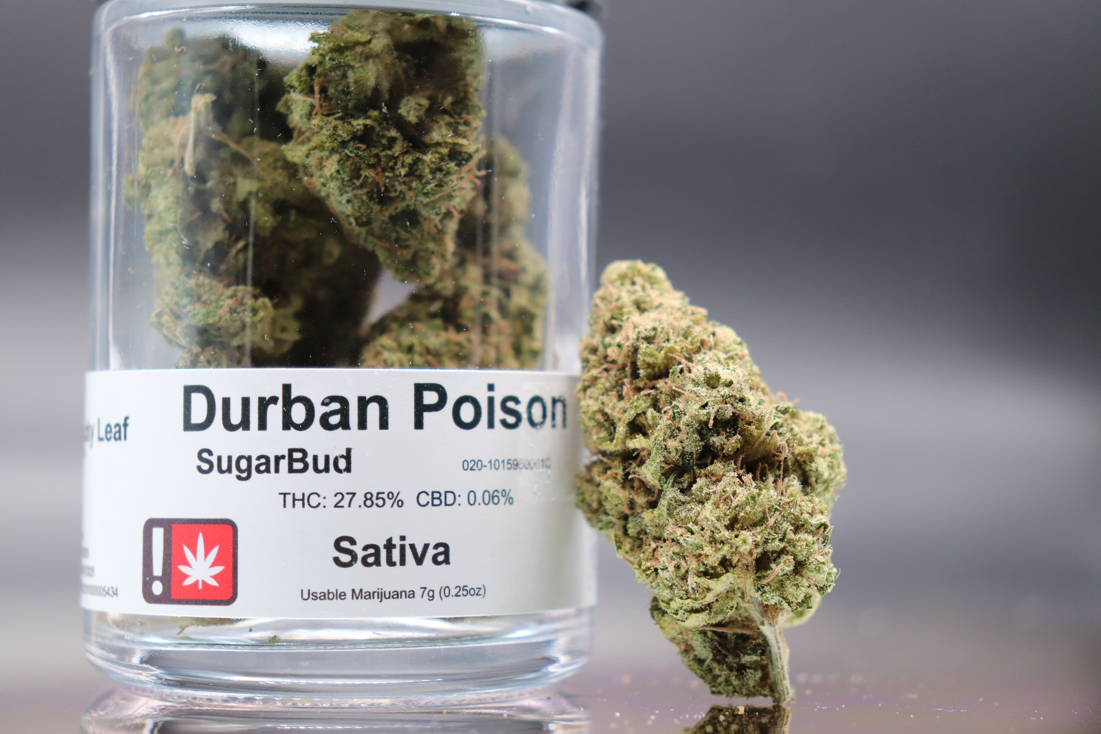 Sugarbud SugarBud // Durban Poison