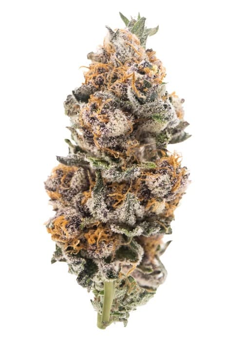New Altitude Farms