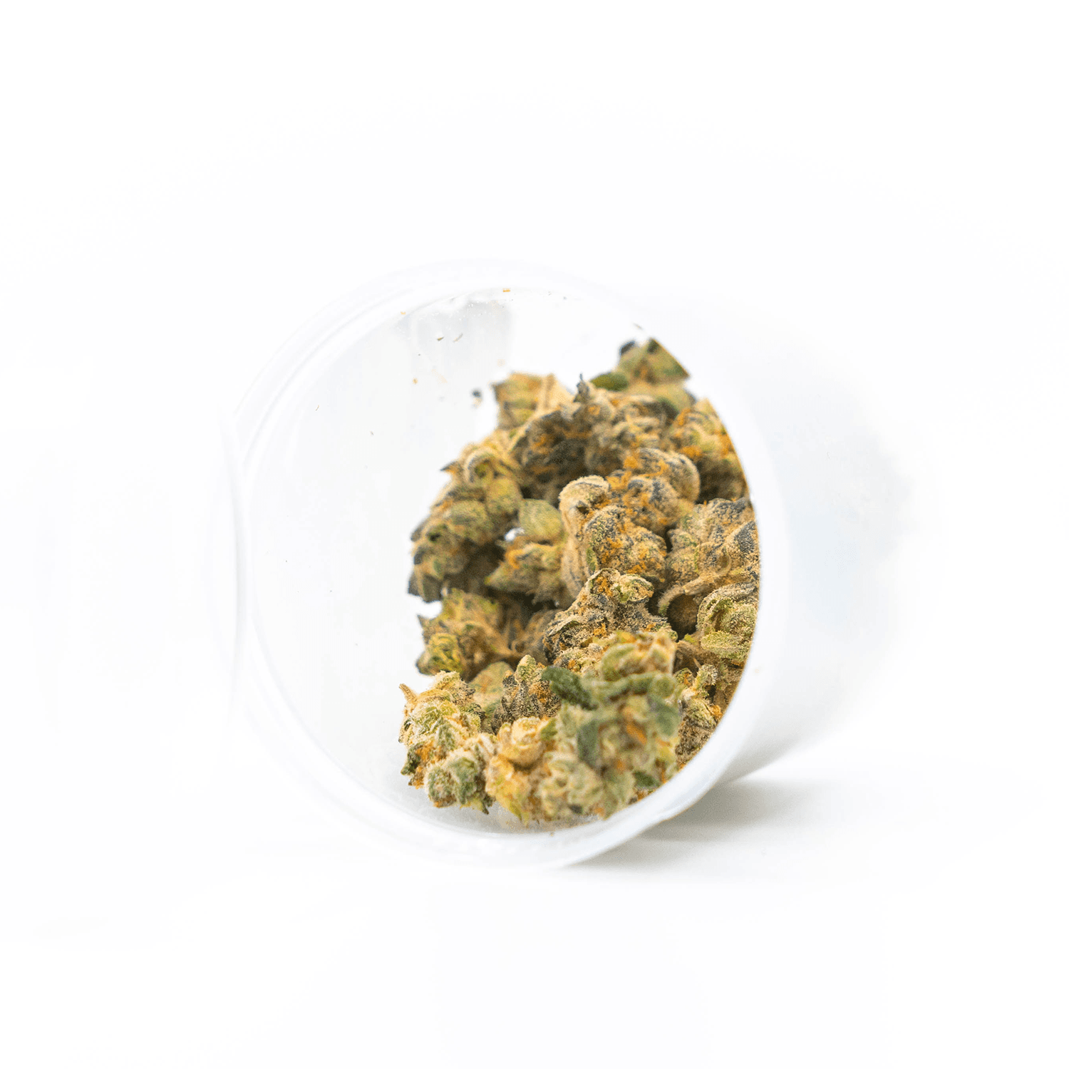 CANAMO CANNABIS Popcorn Prepack 1/8 oz - Hell Hound