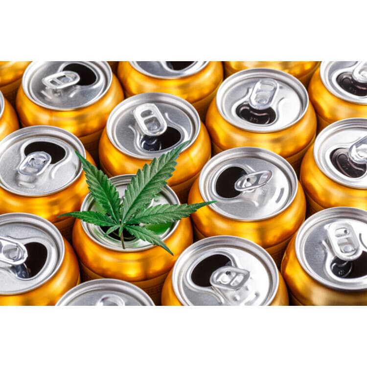 Evergreen Herbal