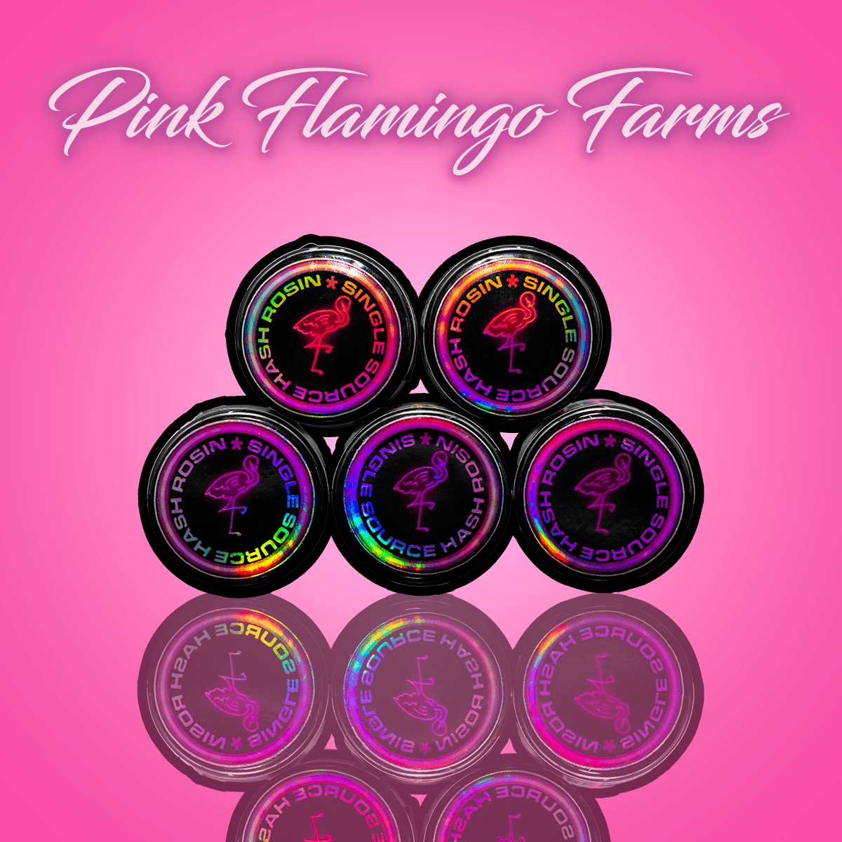 Pink Flamingo Farms