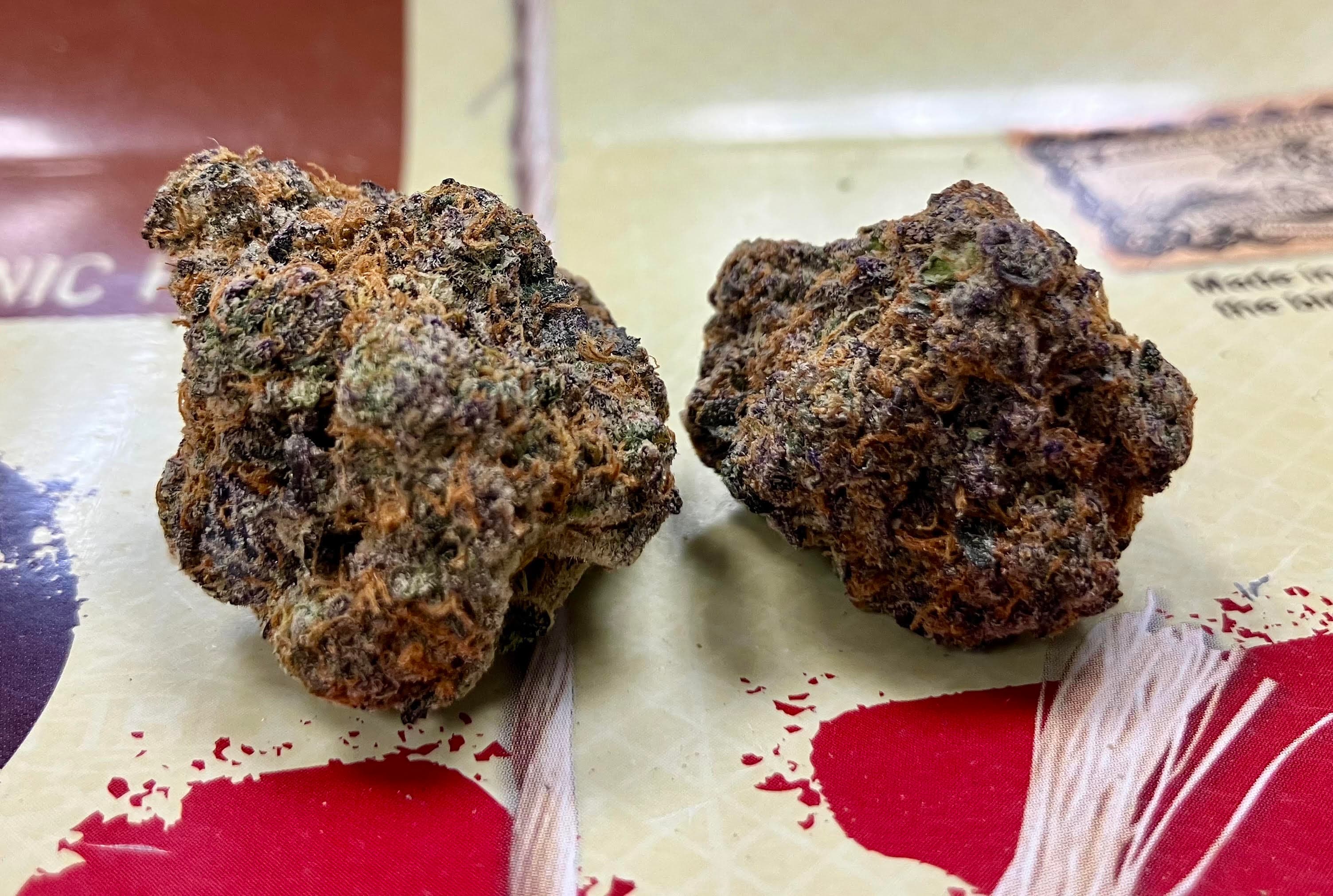 The Healing Canna