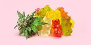 OAK CANNA & WELLNESS