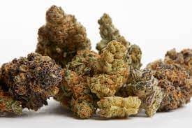 OAK CANNA & WELLNESS