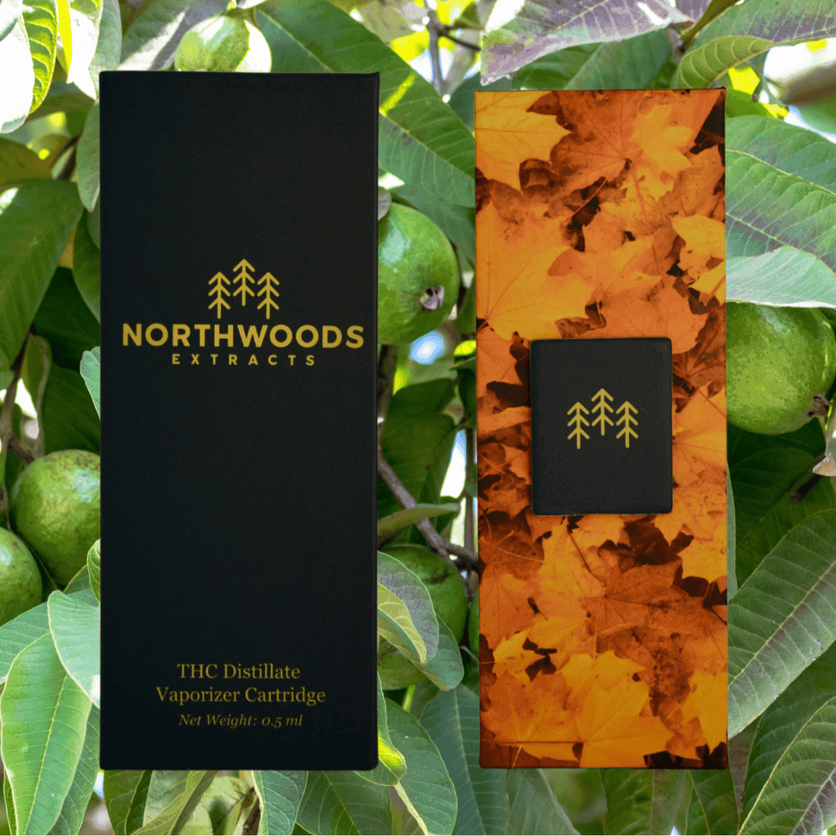 Northwoods Extracts Distillate Vape Cart | Guava Cookies | Northwoods Extracts