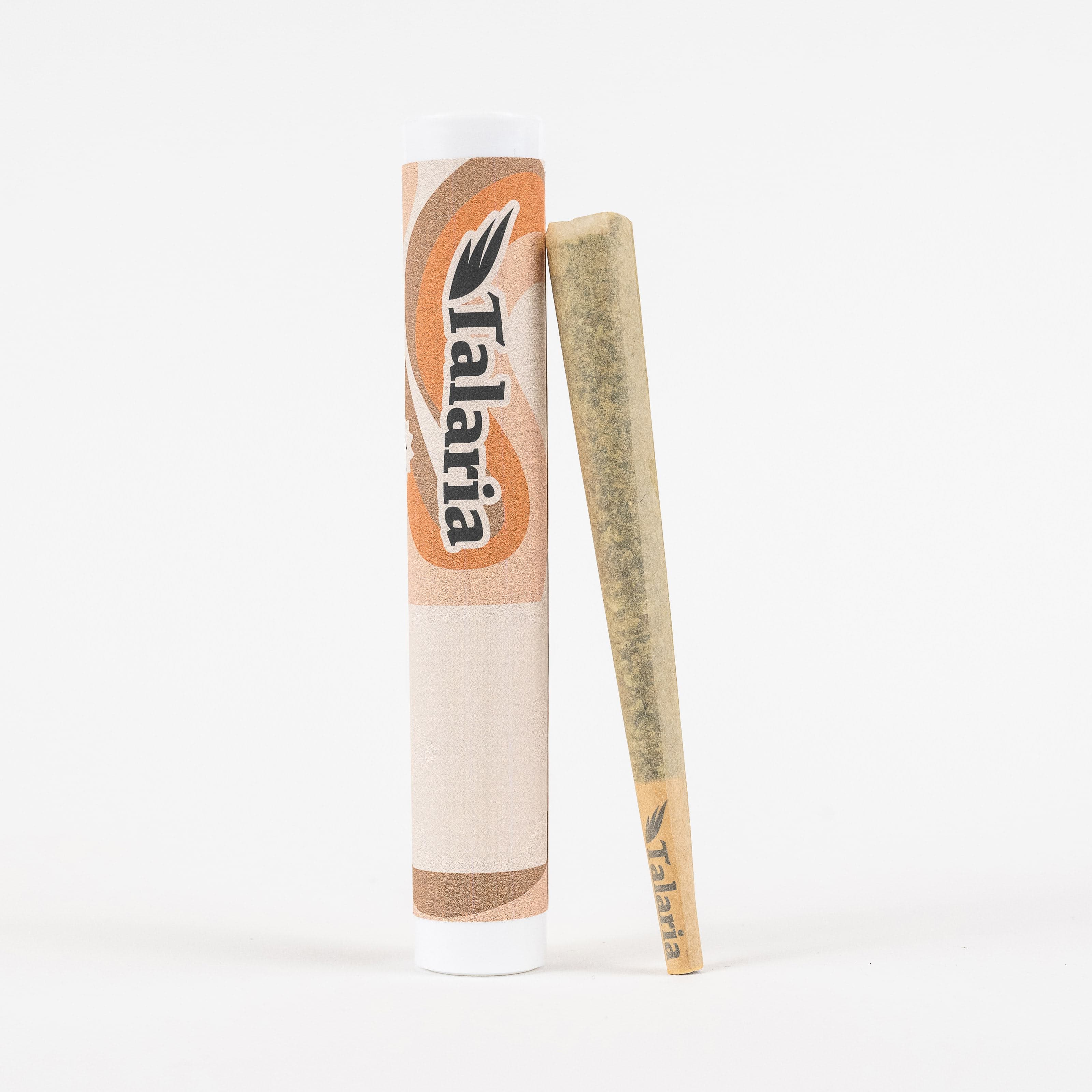 Talaria Watermelon Gusherz | 1g