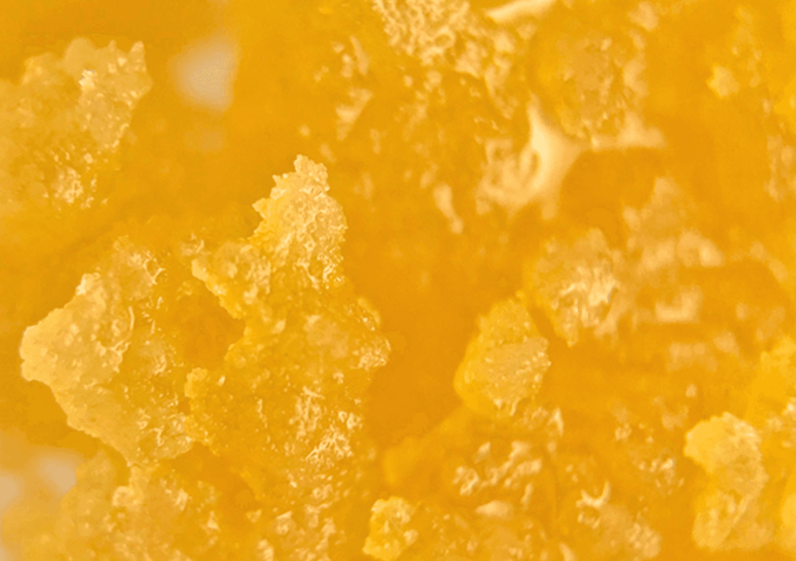 Gold Crown x LegaSea - Jungle Pie Sugar