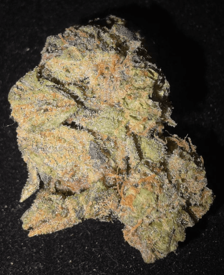 Lake Leaf LIT OG