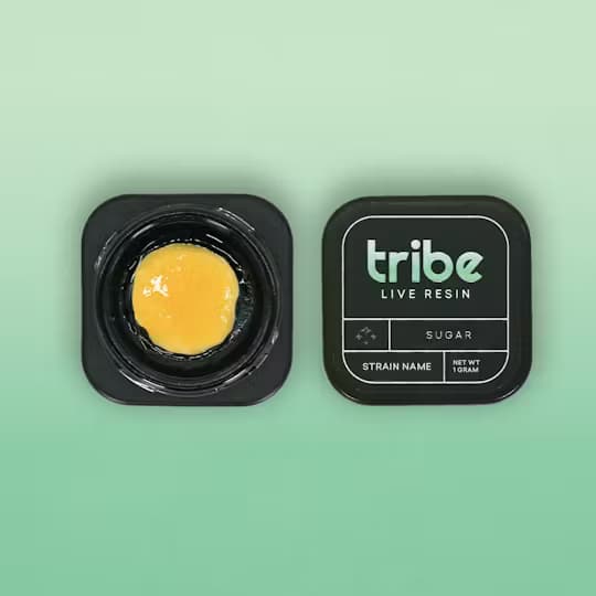 Tribe Collective