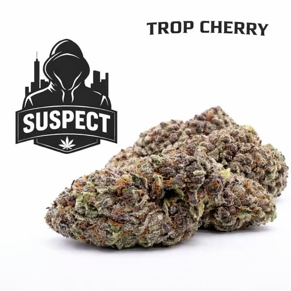 Suspect Trop Cherry | Flower