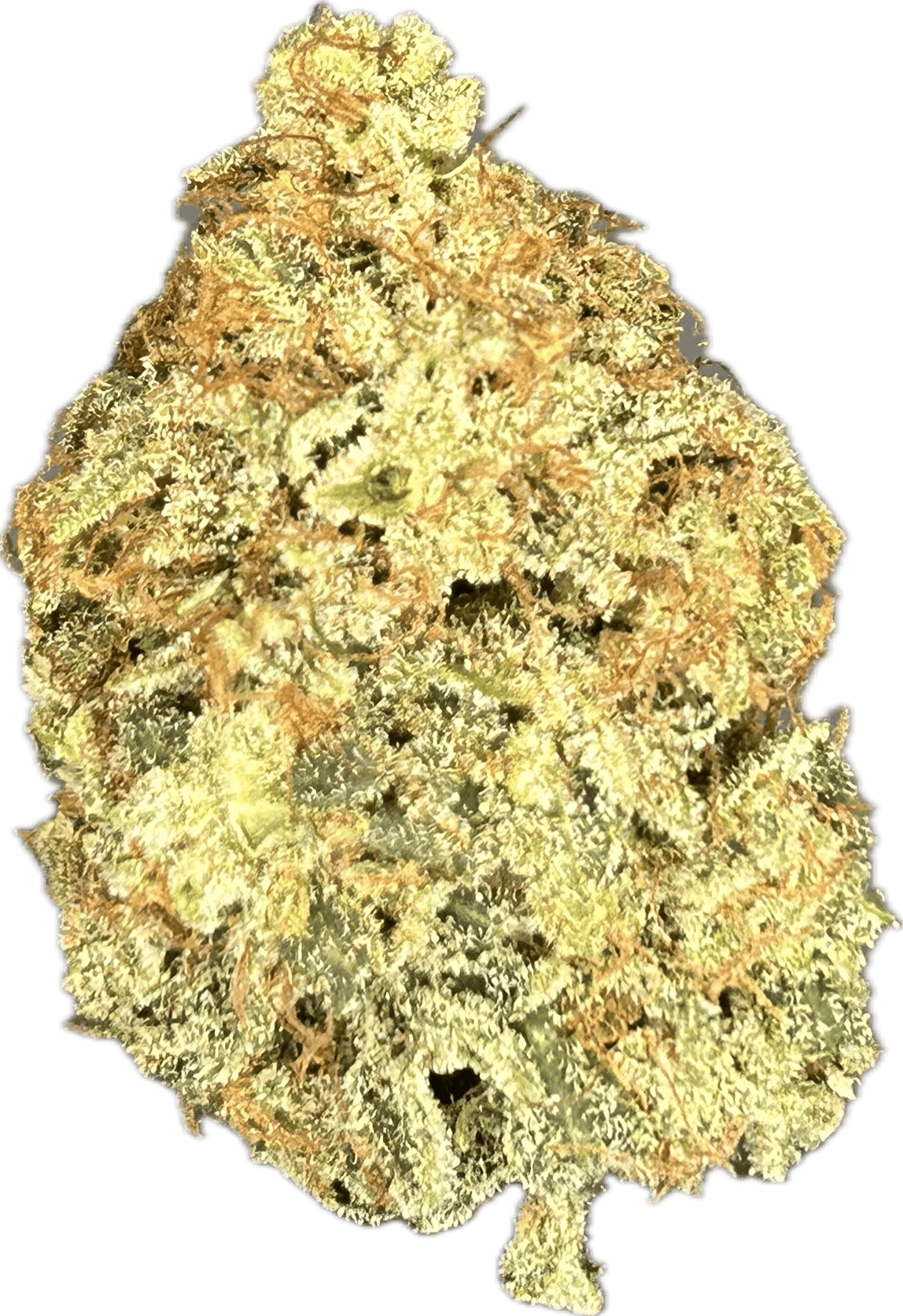 DNS Farms FANTOM FUEL